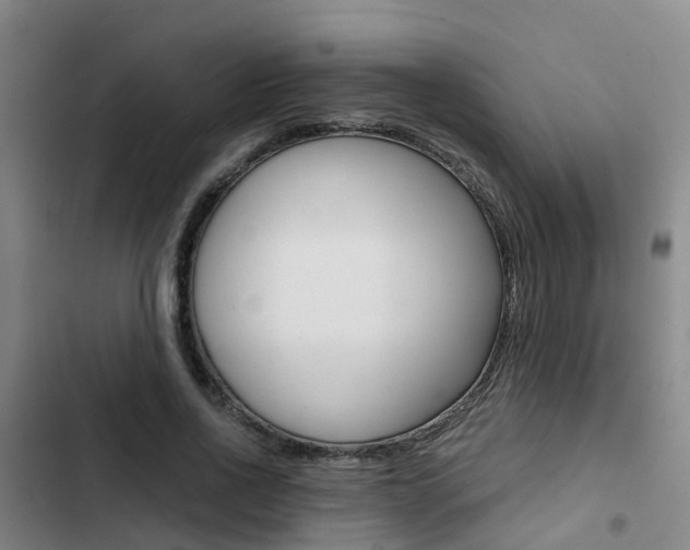 X0000103270734200808291106