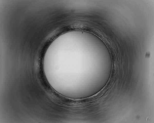 X0000103270735200808291106