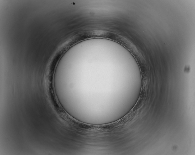 X0000103270736200808291106