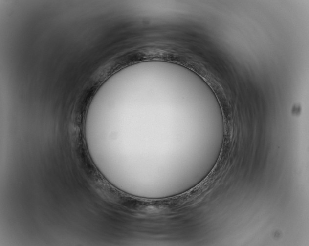 X0000103270737200808291106