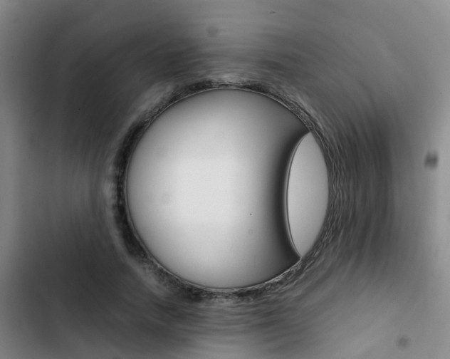 X0000103270738200808291106