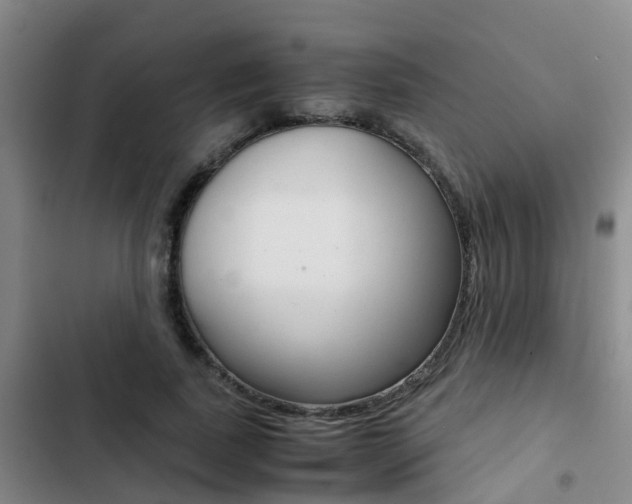 X0000103270739200808291106