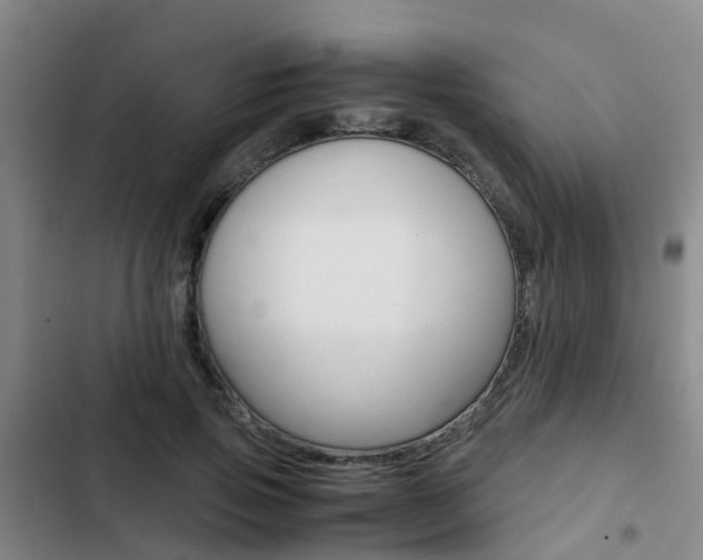 X0000103270741200808291106