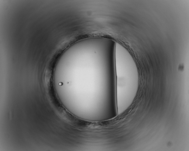X0000103270742200808291106