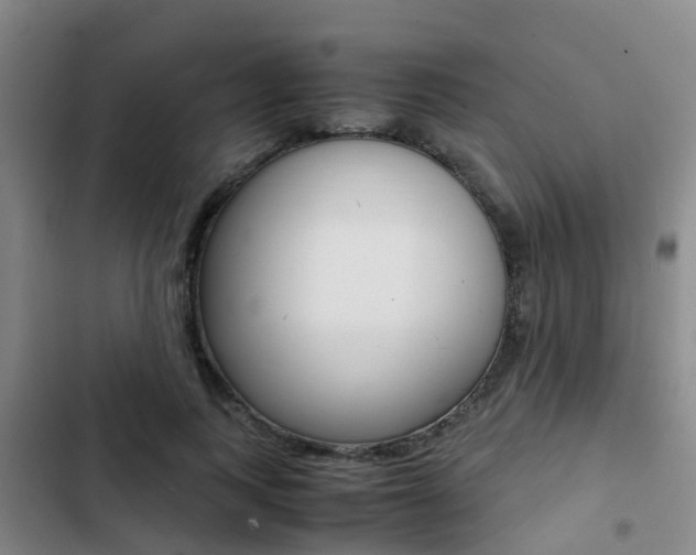 X0000103270743200808291106