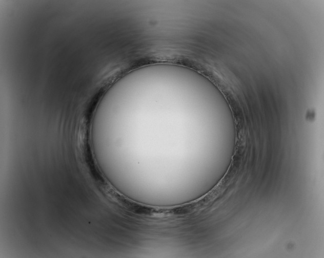 X0000103270744200808291106