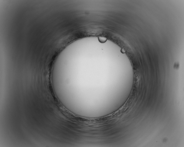 X0000103270745200808291106