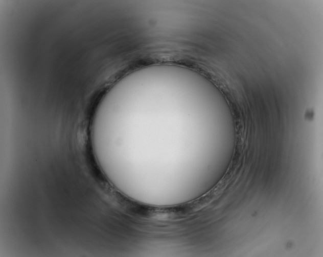 X0000103270746200808291106
