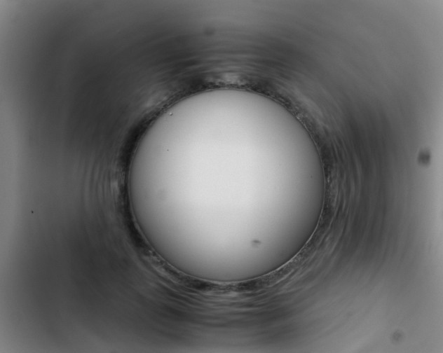 X0000103270747200808291106