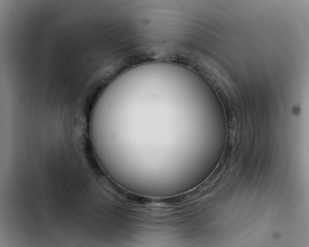X0000103270748200808291106