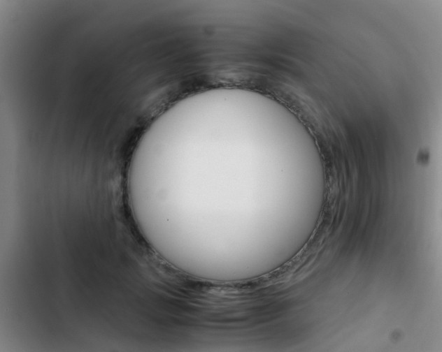X0000103270749200808291106