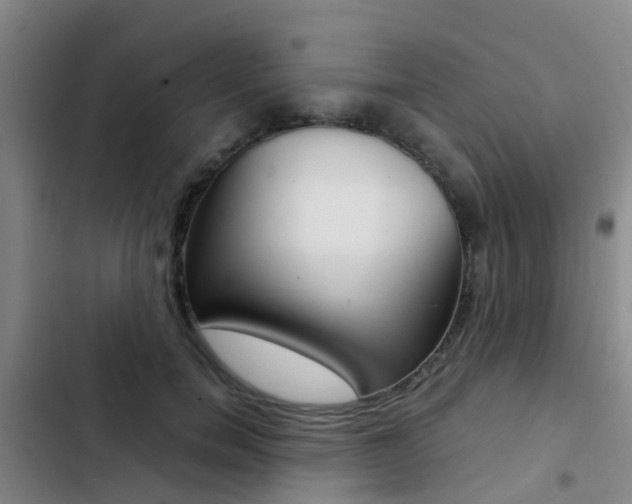 X0000103270750200808291106