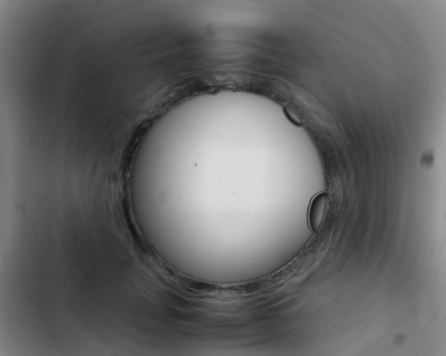 X0000103270751200808291106