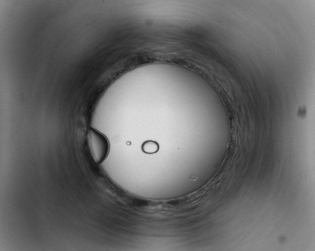 X0000103270752200808291106