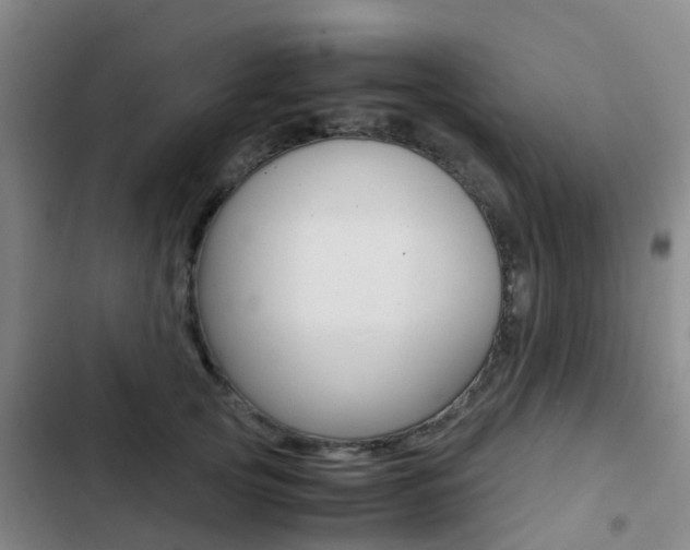 X0000103270753200808291106