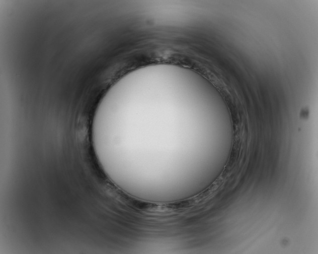 X0000103270754200808291107