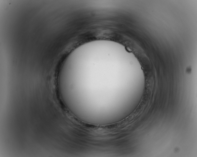 X0000103270755200808291107