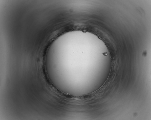 X0000103270756200808291107