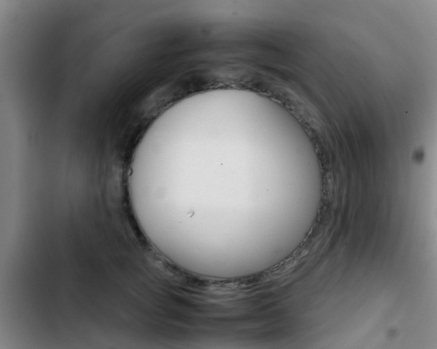 X0000103270757200808291107
