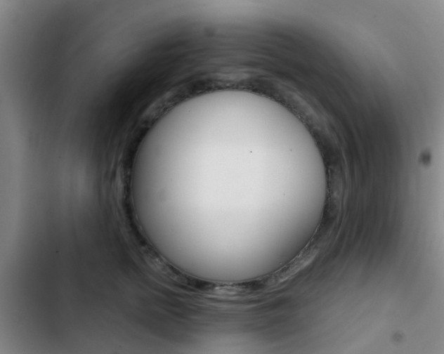 X0000103270758200808291107