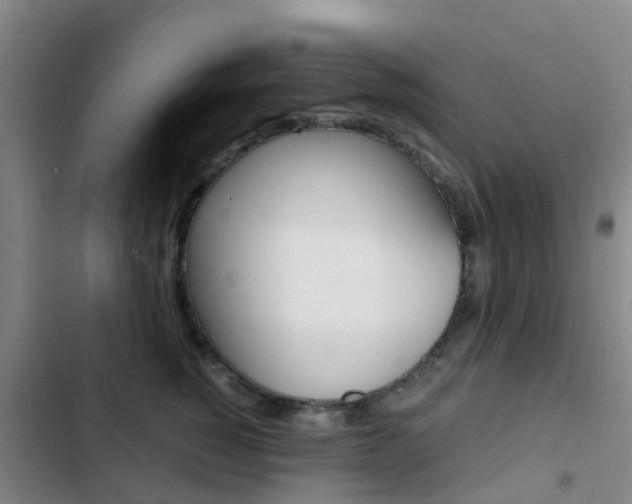 X0000103270760200808291107