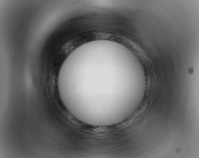 X0000103270761200808291107