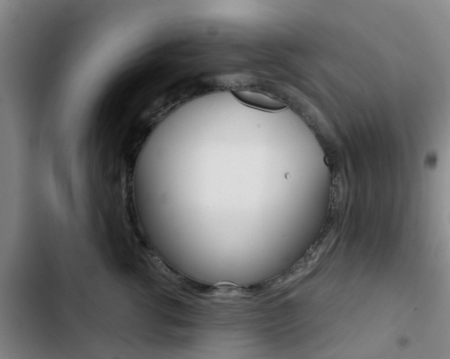 X0000103270762200808291107