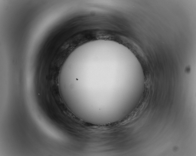 X0000103270763200808291107