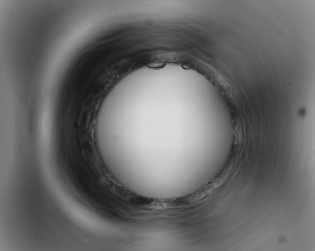 X0000103270764200808291107