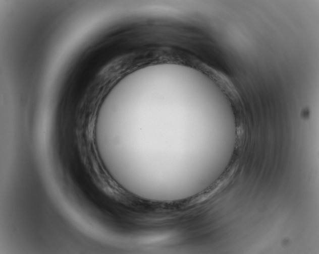 X0000103270765200808291107