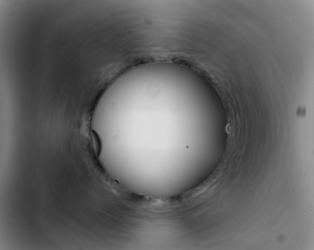 X0000103270768200808291107