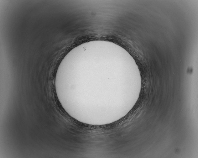 X0000103270769200808291106