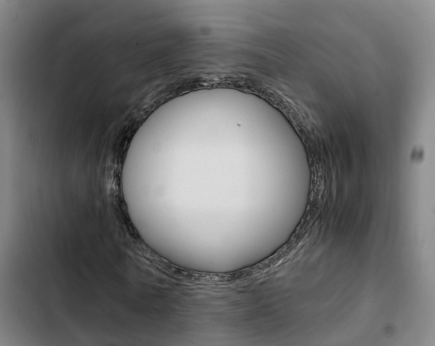 X0000103270770200808291106