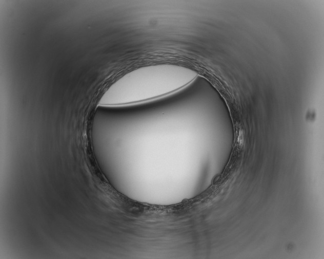 X0000103270771200808291106