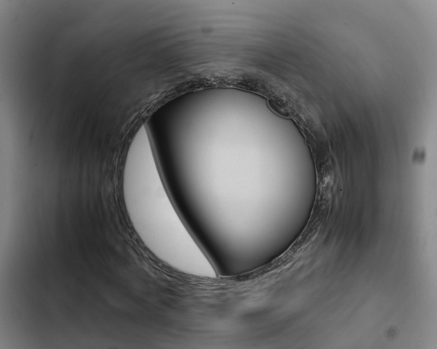X0000103270772200808291106