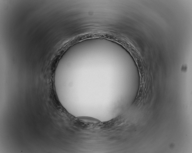 X0000103270773200808291106