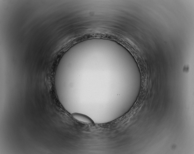 X0000103270774200808291106