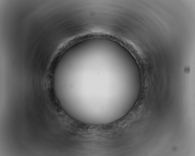 X0000103270776200808291106