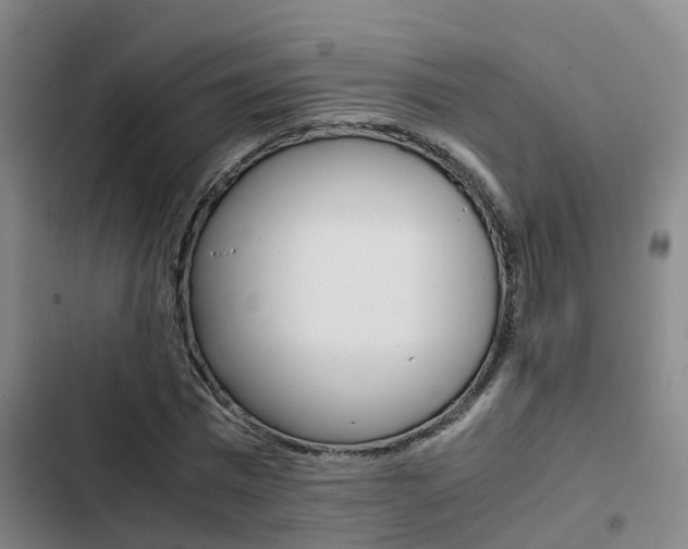 X0000103270777200808291106
