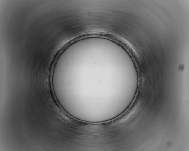 X0000103270778200808291106