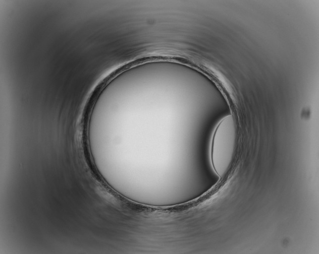 X0000103270779200808291106