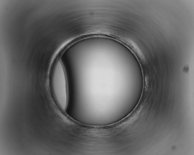 X0000103270780200808291106