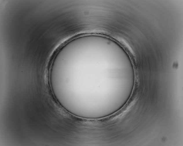 X0000103270781200808291106