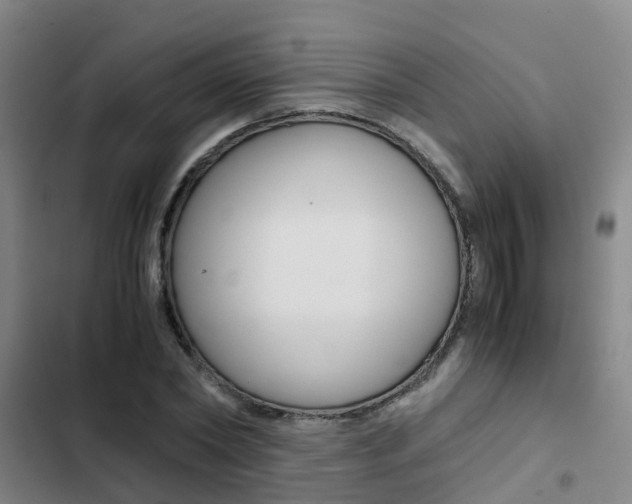X0000103270782200808291106