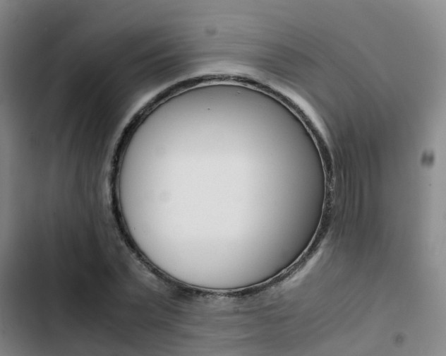 X0000103270783200808291106
