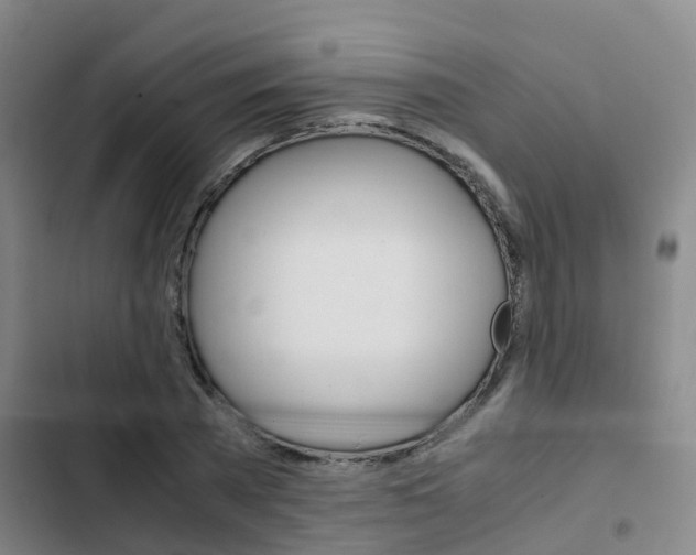 X0000103270785200808291106
