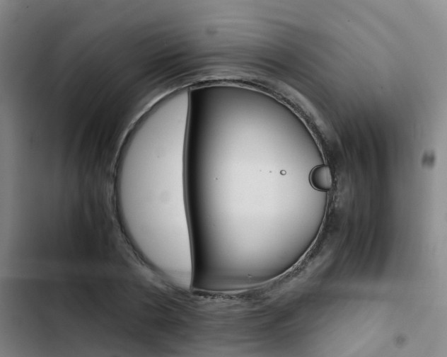 X0000103270786200808291106