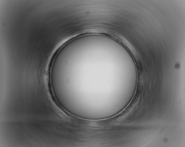 X0000103270787200808291106