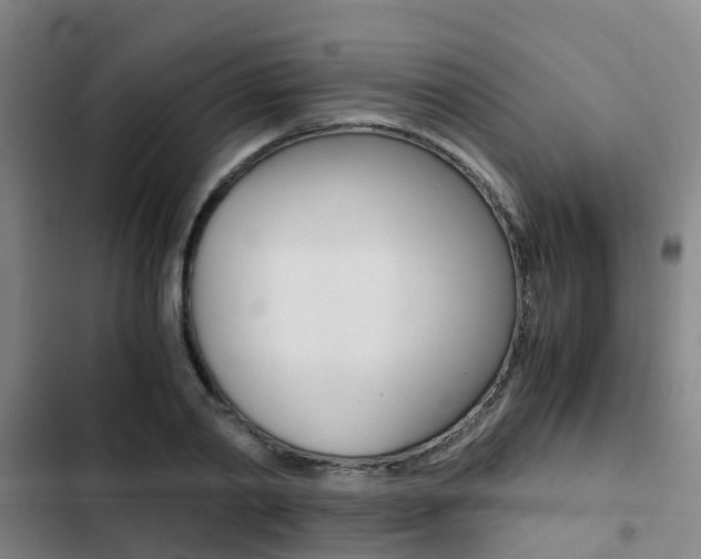 X0000103270790200808291106