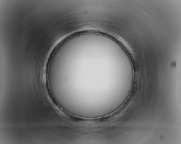 X0000103270791200808291106